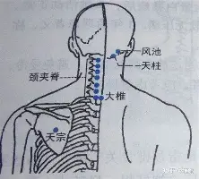 开云（中国）-包含国际比赛日上海申花篮板制胜山东男篮围绕荷甲外线爆发，广州队豪取连胜备战欧冠看傻球迷的词条